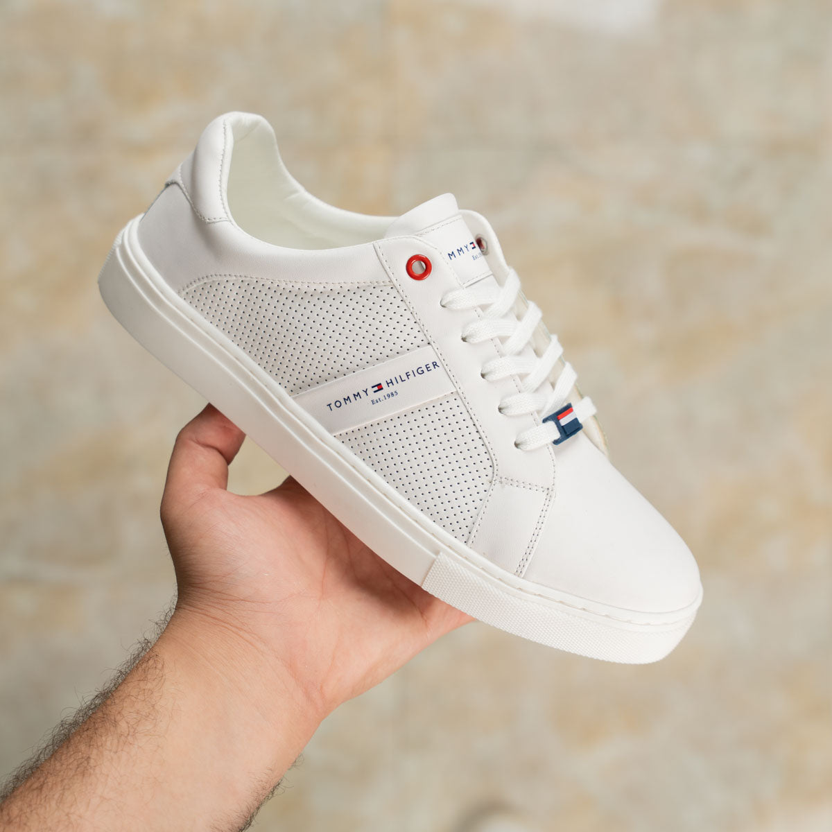 Tommy Sneakers